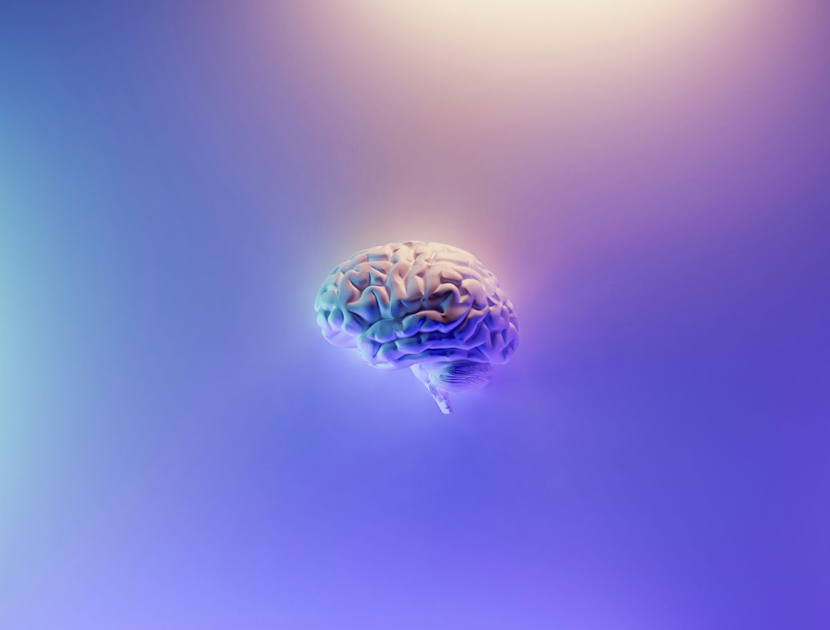 MISP Parte II (El cerebro)
