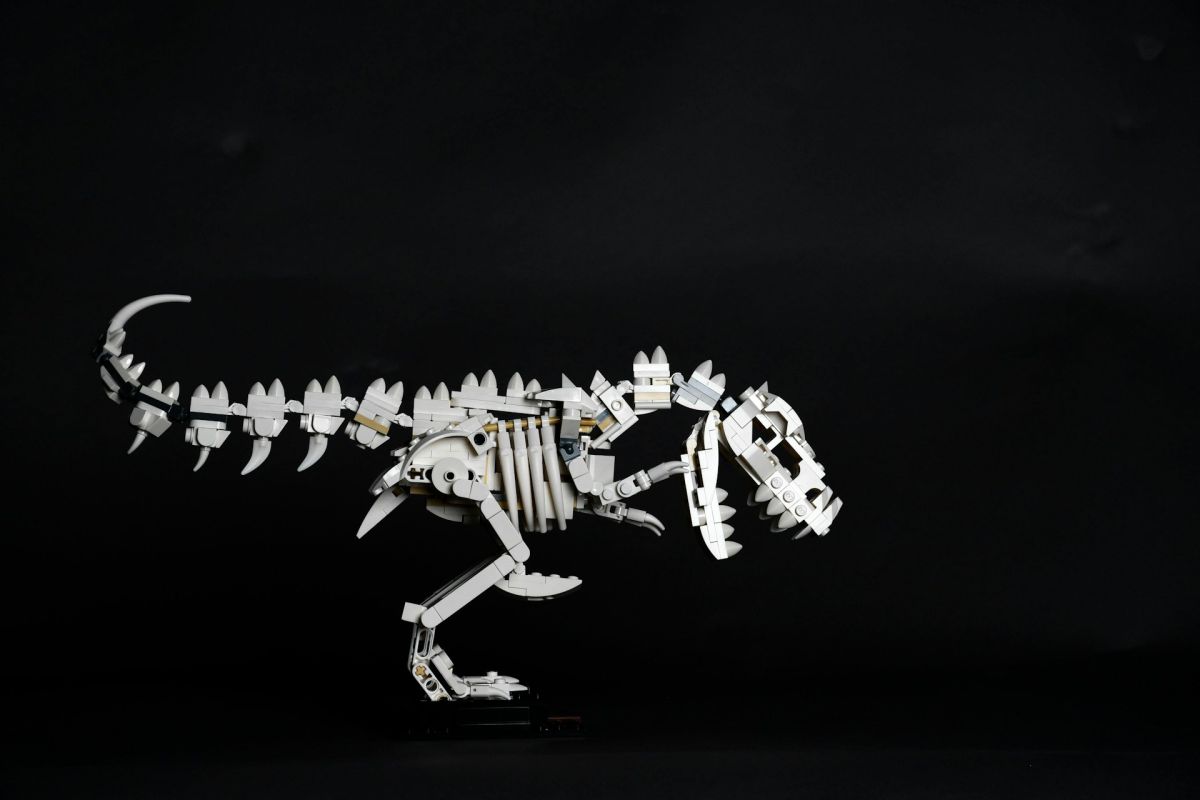 Instalando Velociraptor